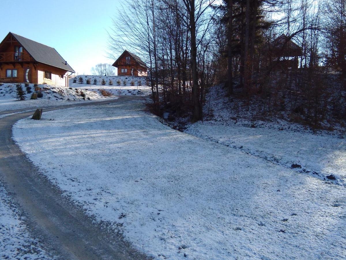 Domek Na Wzgorzu "Wilk" Swiatkowa Mala ภายนอก รูปภาพ